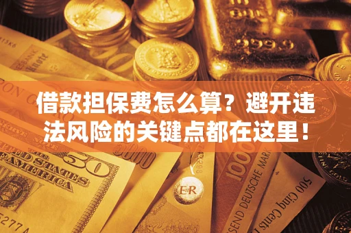 济南借款担保费怎么算？避开违法风险的关键点都在这里！