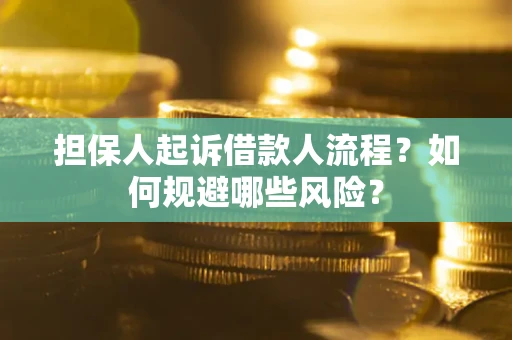 济南担保人起诉借款人流程？如何规避哪些风险？